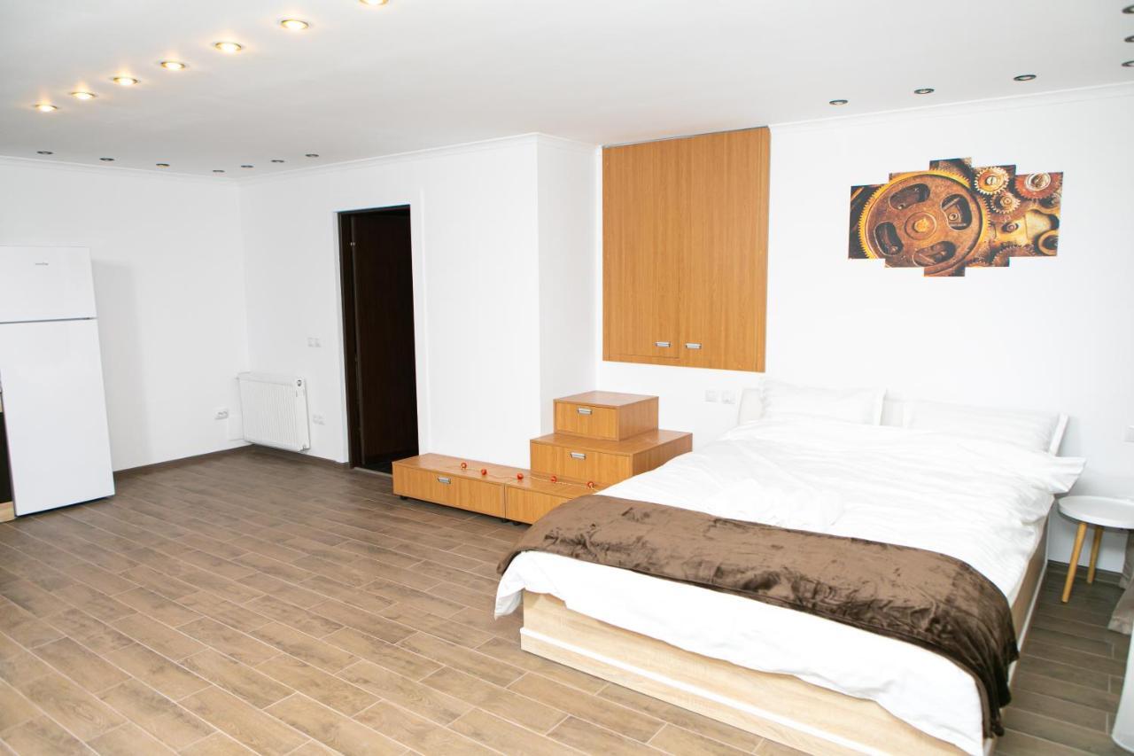 Vila Elisabeta Brasov Ngoại thất bức ảnh